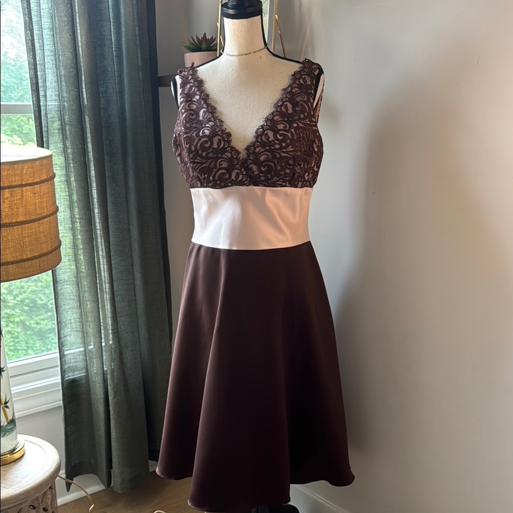 Brown and Light Pink FancyDress